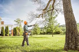 Best Lawn Maintenance Plans  in Venice, IL