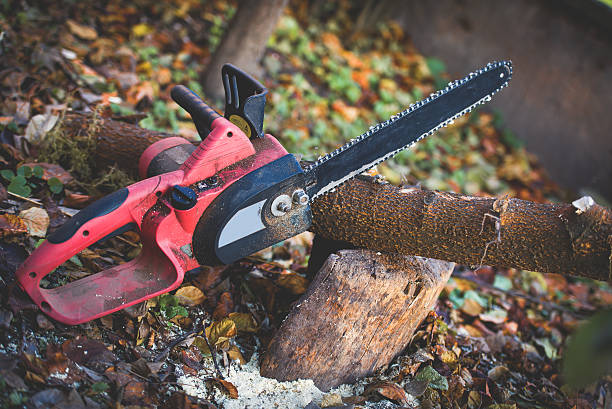 Best Lot and Land Clearing  in Venice, IL